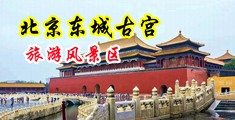 日韩淫荡黄片中国北京-东城古宫旅游风景区